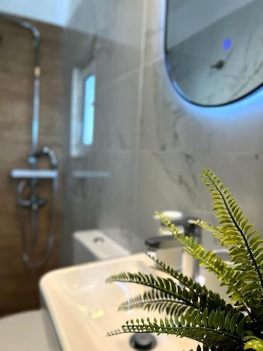 Exquisite Penthouse With Breathtaking Acropolis Panorama View Lejlighed Athen Eksteriør billede